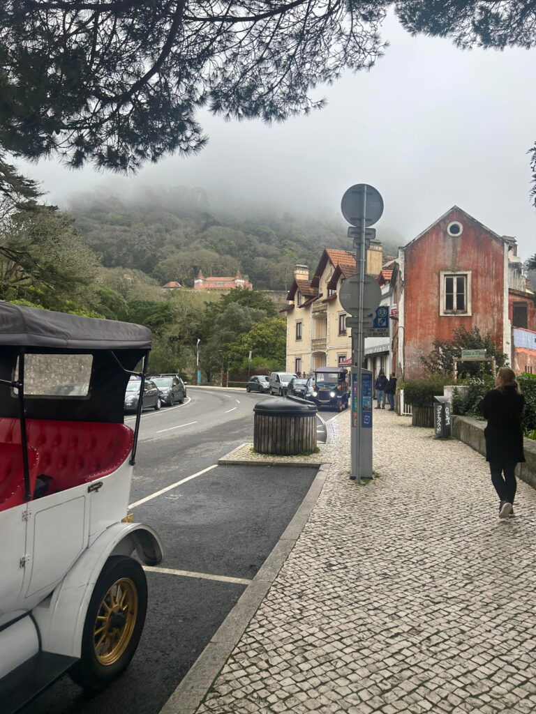 Fog over Sintra (1)