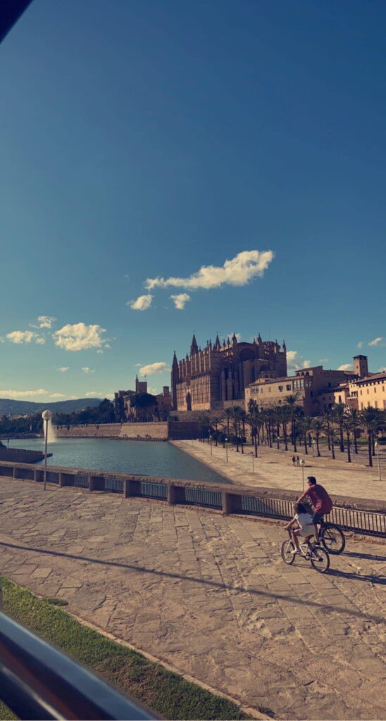 Palma De Mallorca Cathedral Historic (1)